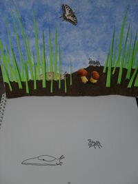 Kinderbuch mit Ameisen